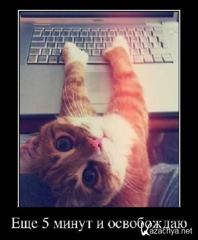 Подборка демотиваторов № 471 Подборка демотиваторов № 471