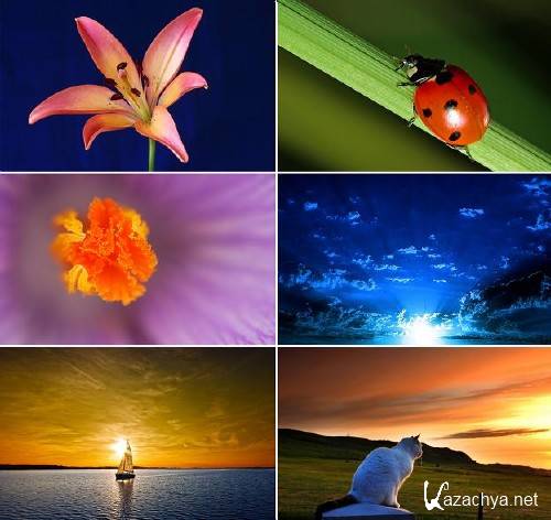 HD Wallpapers Nature Pictures �3 (2012)