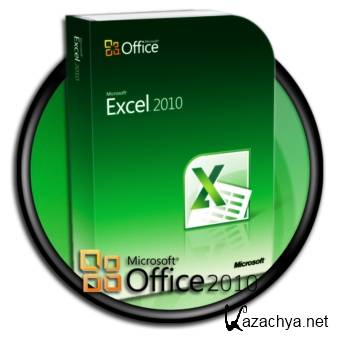   Microsoft Excel (2010)