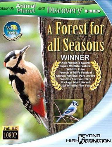  :     / Wild Asia: A Forest for All Seasons (2000) DVDRip