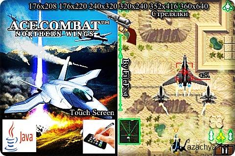 Ace Combat. Northern Wings+ Touch Screen/Stylus /  .  