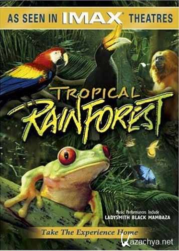   / IMAX - Tropical Rainforest (1992) BDRip