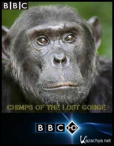  -   ? / Chimps of the Lost Gorge (2011) HDTVRip