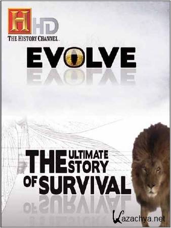 .   .  / Evolve. The Ultimative Story of Survival. The eye (2010) HDTVRip