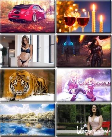 ���� ��� �������� ����� �������� � ������