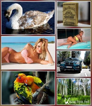 Computer Desktop Wallpapers (part 183)