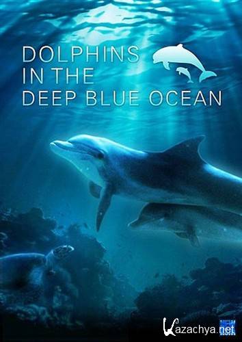      / Dolphins In The Deep Blue Ocean (2009) HDRip