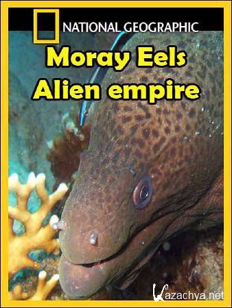 .   / Moray Eels. Alien empire (2010) HDTVRip
