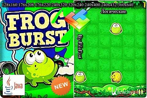 Frog Burst /   