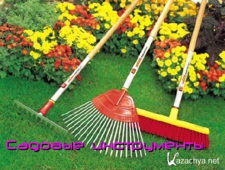 ������� ����������� (2011) DVDRip