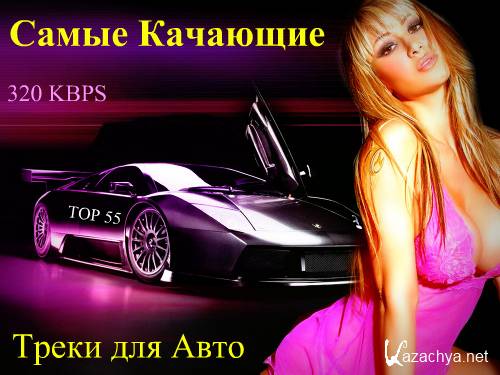 C     - TOP 55_ 2 (2011) MP3