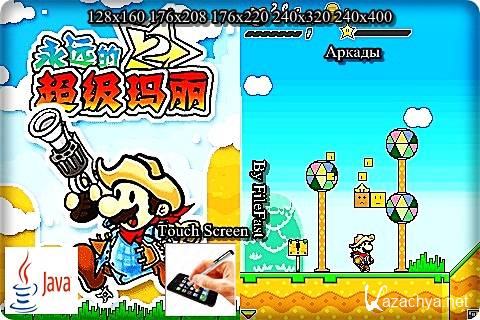Super Mario: Forever 2+Touch Screen /  :  2