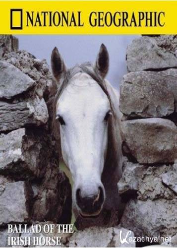   / Ballad of the Irish horse (1985) DVDRip