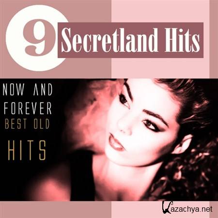 Secretland Hits Vol.9 (2012)