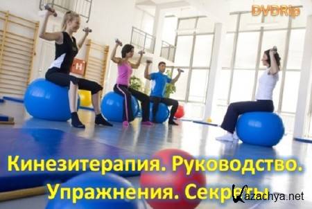 �������������. �����������. ����������. ������� (2011) DVDRip