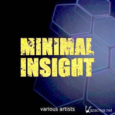 Minimal Insight (2012)