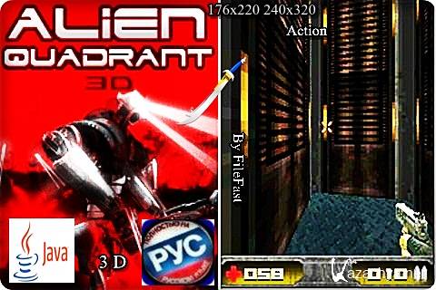 3D Alien Quadrant   /   3D