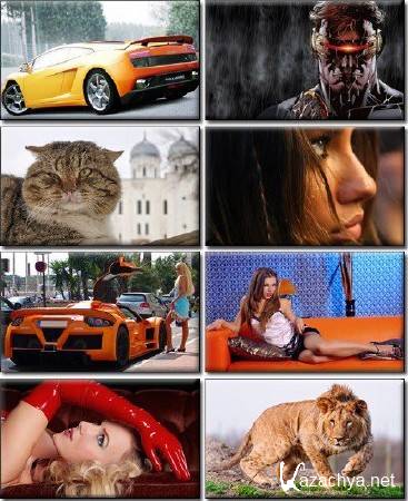 ��������� �������� ����� �� ������� ����. ����� (338)