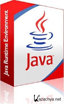Java  Windows Version 6 Update 30 (2012)