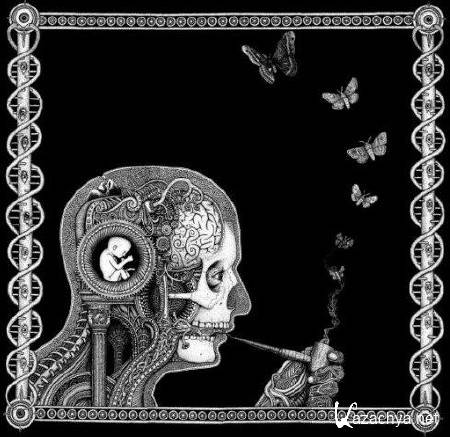 Soen - Cognitive (2012)