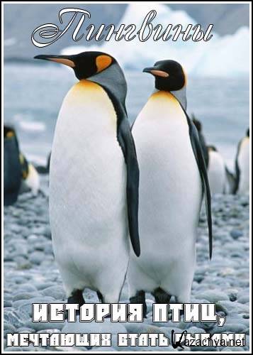 .   / Penguins. The story of the birds that wanted to be fish (2007) HDTVRip
