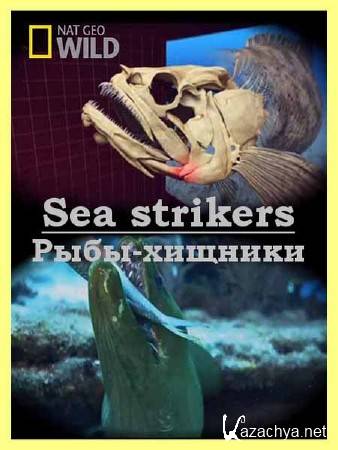 - / Sea strikers (2010) HDTVRip