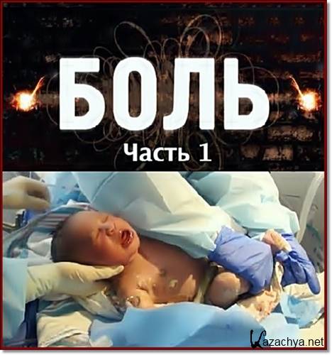 ���� /����� 1-� (12/01/2012) SATRip