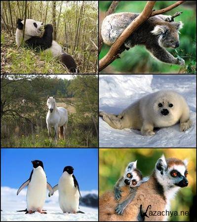 ��������� ����� �� ���� �������� �3