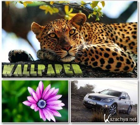 Mix Wallpapers for desktop - ��������� ����� ��� �� - Mega Pack 486