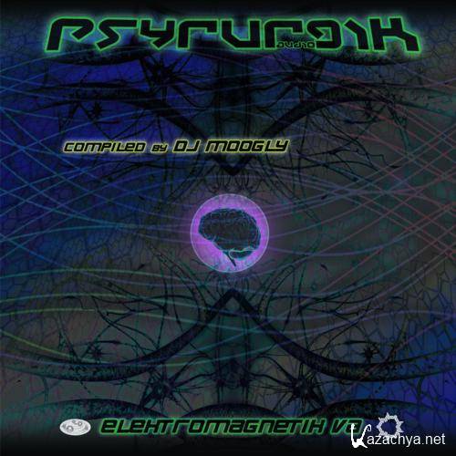 VA - Elektromagnetik (2012)