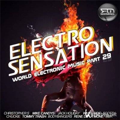VA - RM Electro Sensation Vol.29 (2012)