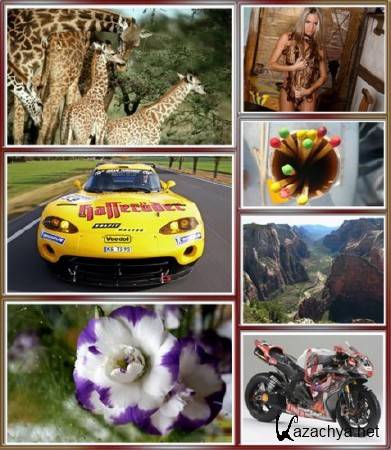 Computer Desktop Wallpapers (part 196)