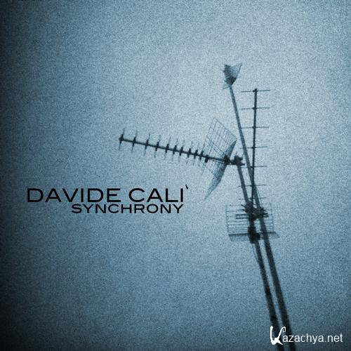 Davide Cali - Synchrony 2012