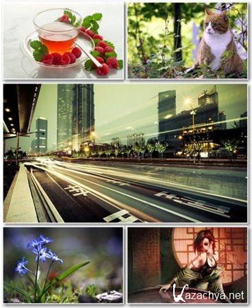 Best HD Wallpapers Pack 516