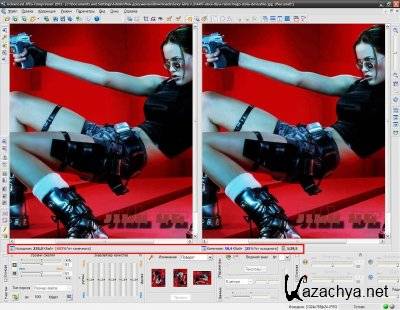 Advanced JPEG Compressor 2012 v.9.3.100 RUS (x32/x64) -  