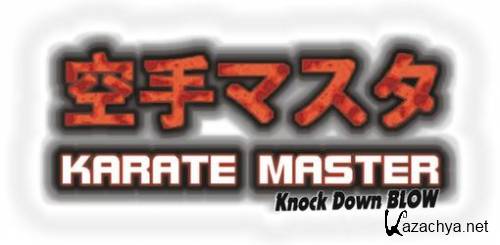 Karate Master Knock Down Blow (2011/MULTI3)