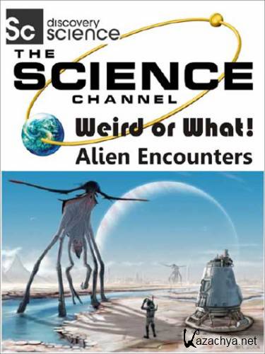   !    / Weird or What? Alien Encounter (2011) SATRip