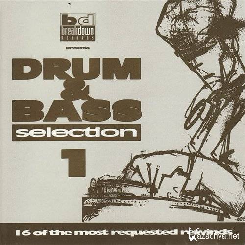 Drum n Bass Selection Vol.1 (1994) FLAC