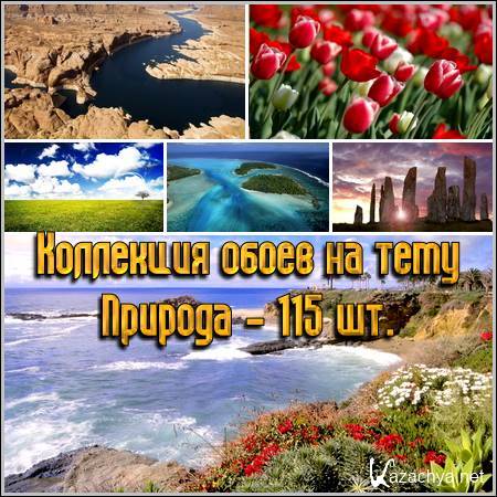 ��������� ����� �� ���� ������� - 115 ��.