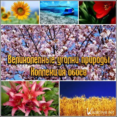 ������������ ������ ������� � ��������� �����