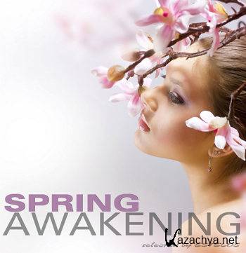 Spring Awakening (2012)