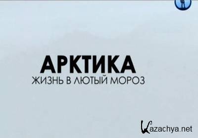 .     / Human planet. Arctic: Life in the Deep Freeze (2012) SATRip