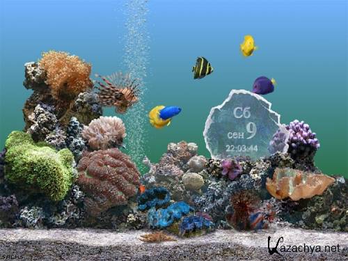 Serene Screen Marine Aquarium 3.2.6025 (ENG/2012)