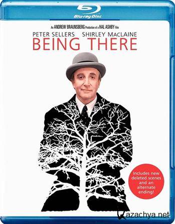  / Being There (1979) HDRip + BDRip 720p + BDRip 1080p + REMUX