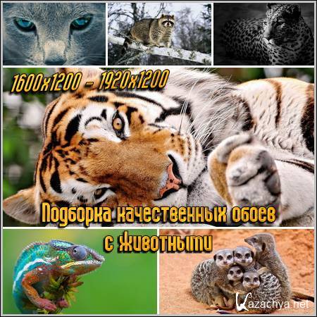 �������� ������������ ����� � ���������