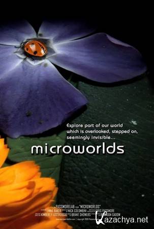  3D / MicroWorlds 3D (2010) HDTV 720p