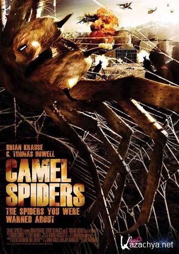   / Camel Spiders (2011) HDRip