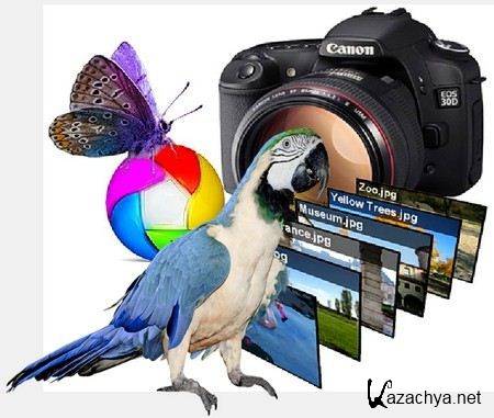 Picasa 3.9 Build 135.87