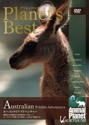     / Australian Wildlife Encounters (2004) DVDRip