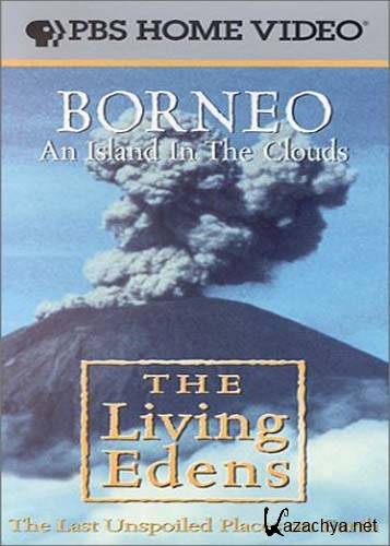 .    / Borneo. Island in the Clouds (2000) SATRip